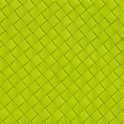 Lilly Loves | Kinda Chic Green Handbag
