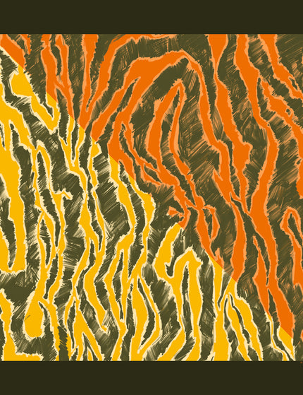 Collection image for: Fetolia